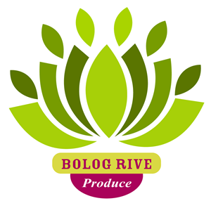 Logo Design by saifulbox for this project | Design #665157