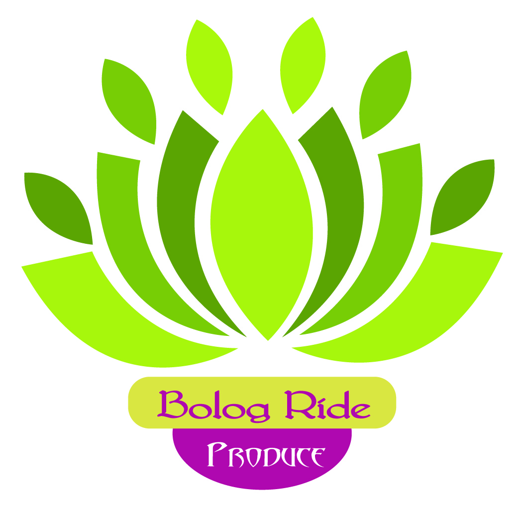 Logo Design by saifulbox for this project | Design #678000