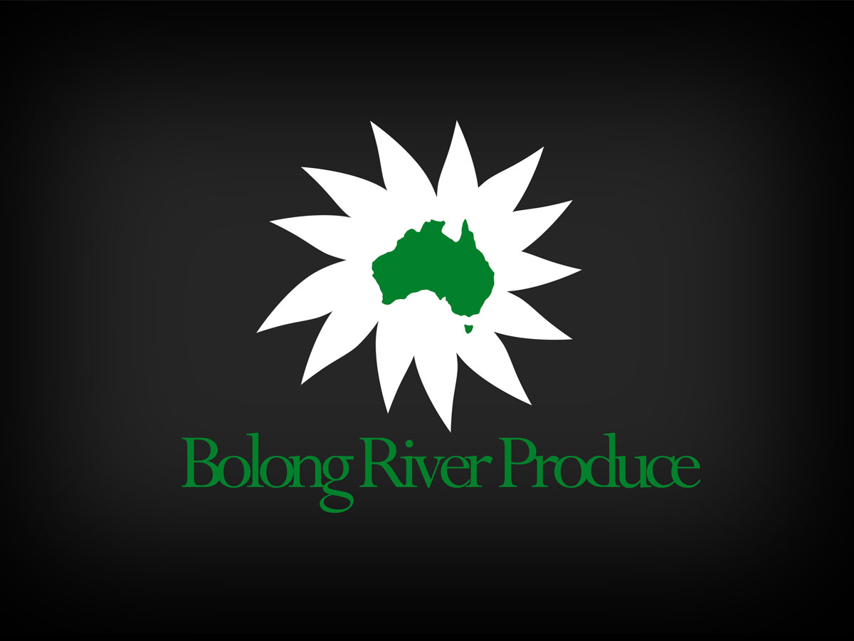 Logo Design by KnapekDesigns for this project | Design #667133