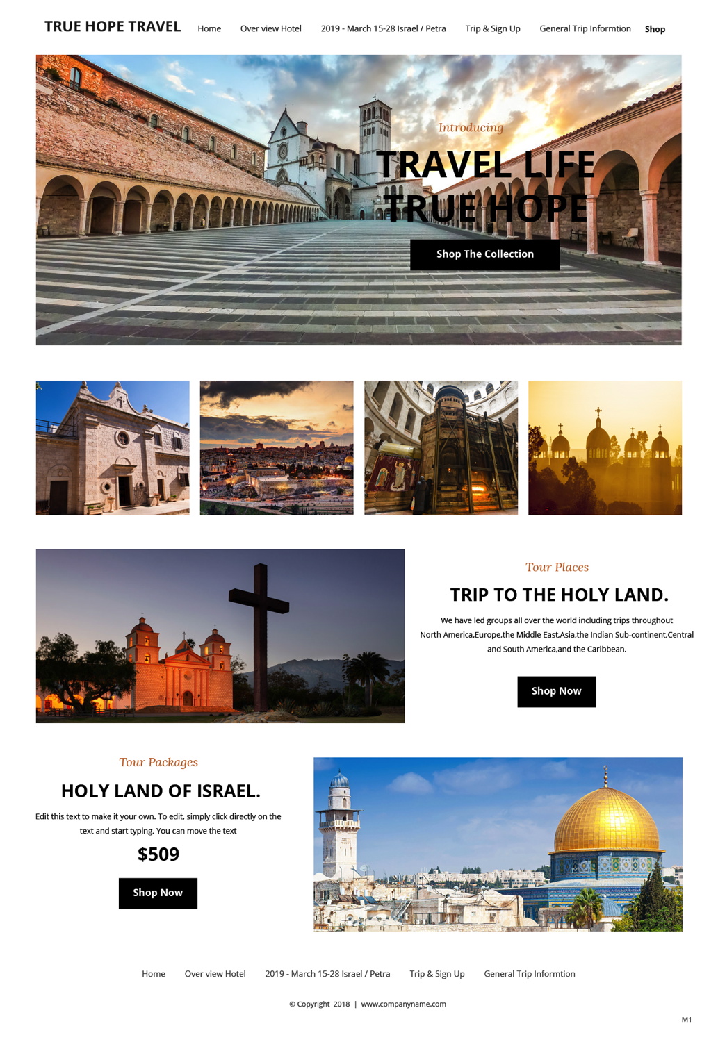 Web-Design von pb für True Hope Travel | Design #18608387