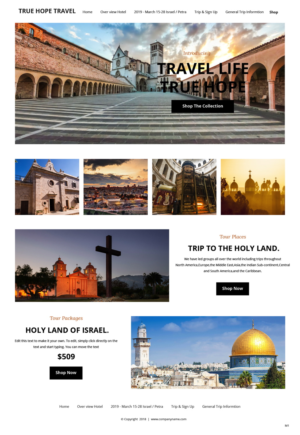 Web Design by pb for True Hope Travel | Design: #18608387