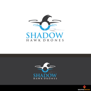 Shadow Hawk Drones | Logo Design by Graphic Bricks