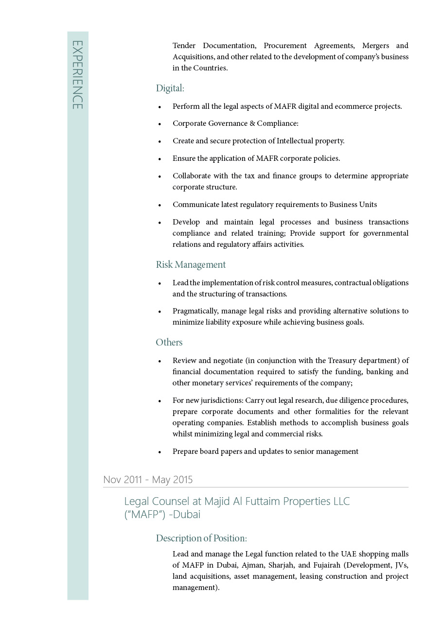 Resume Design by ivan 777 for NeF Consulting | Design #18677389