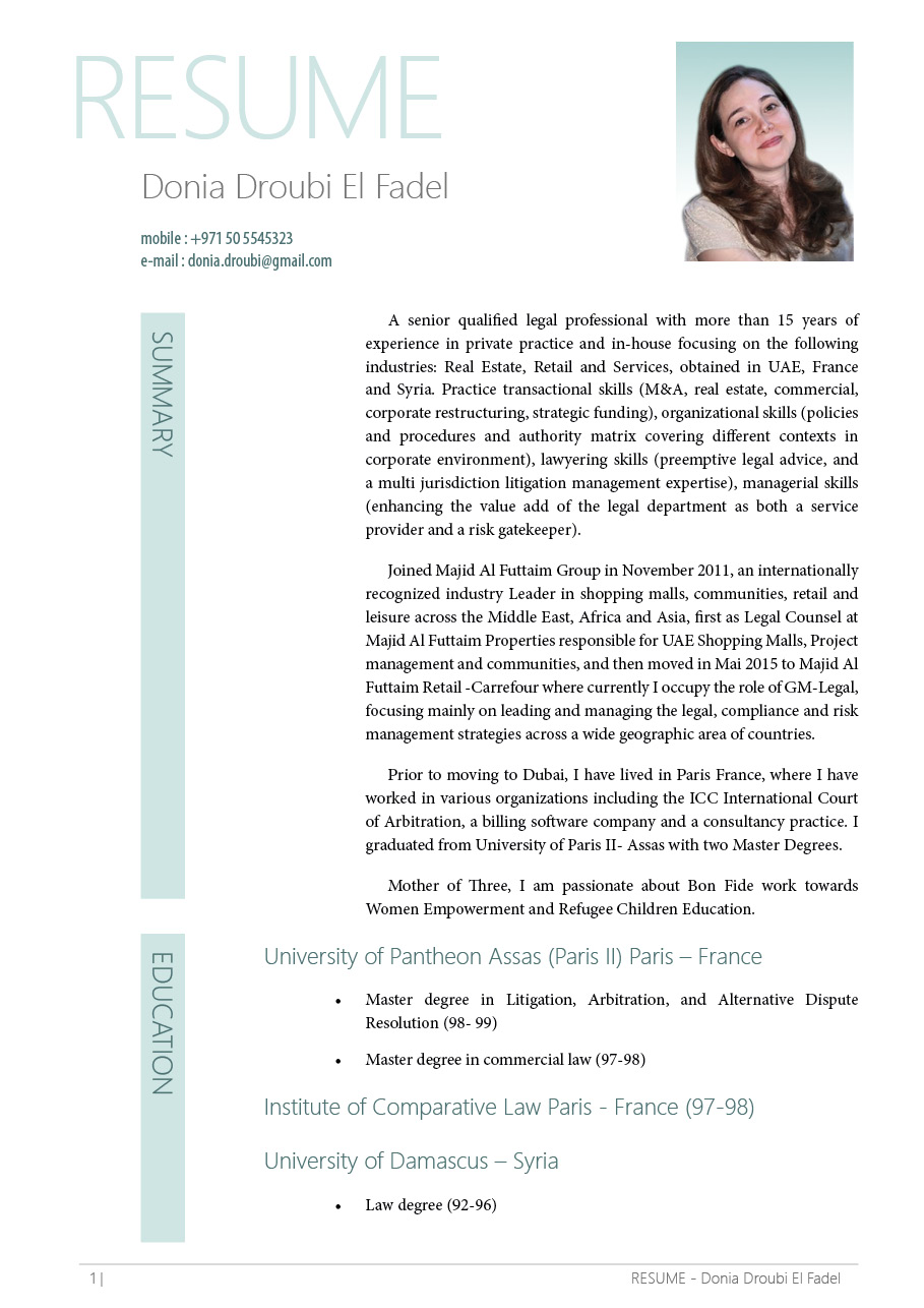 Resume Design by ivan 777 for NeF Consulting | Design #18677595