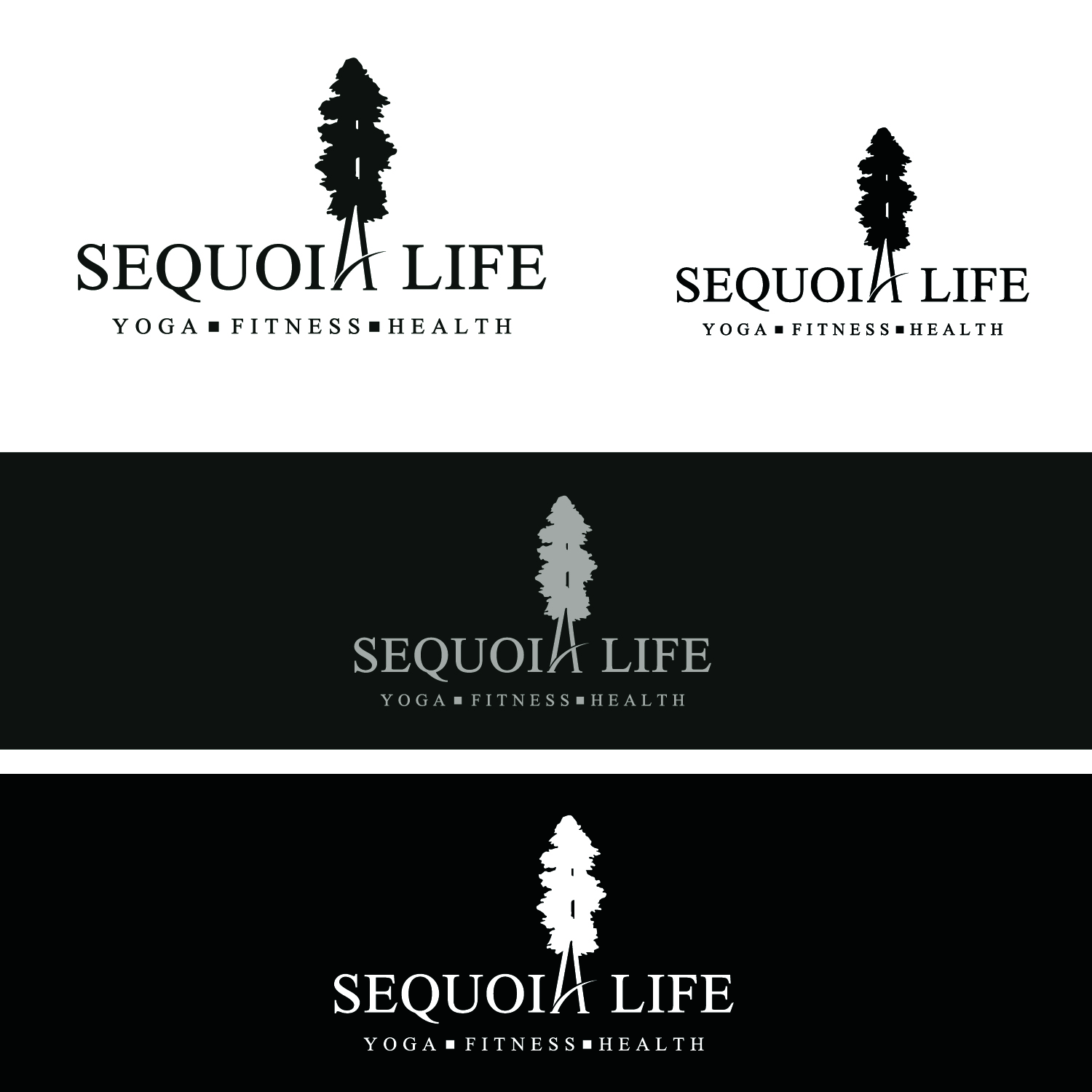 Diseño de Logo por emptyboxgraphics para este proyecto | Diseño #18669095