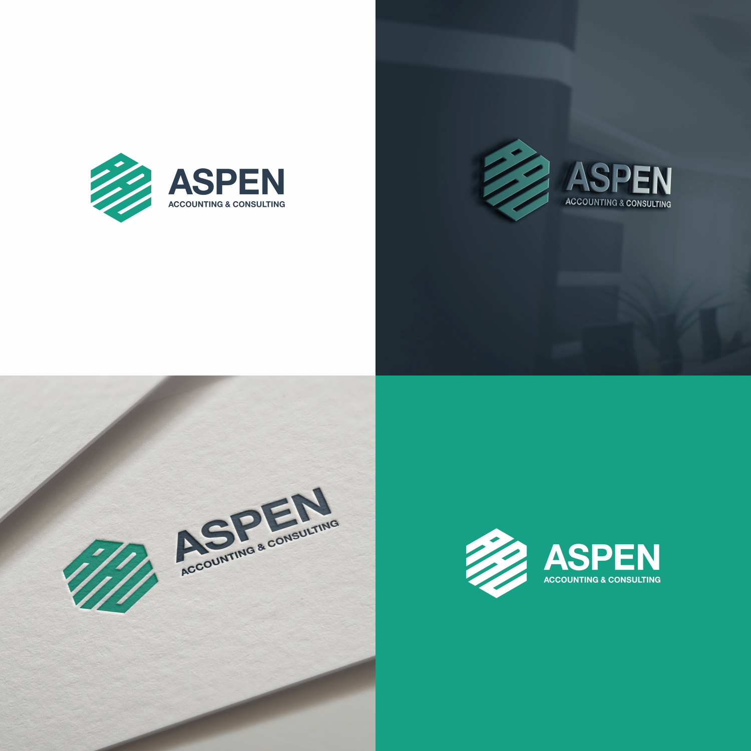 Logo Design by Optimistic_Studio for Aspen Accounting & Consulting | Design #18589662