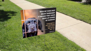 Rescue Me | Advertisement Design by visualkota