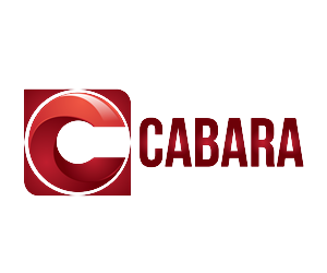 Logo Design by adieff