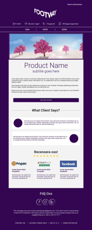 Email Marketing Design by Expert Designer