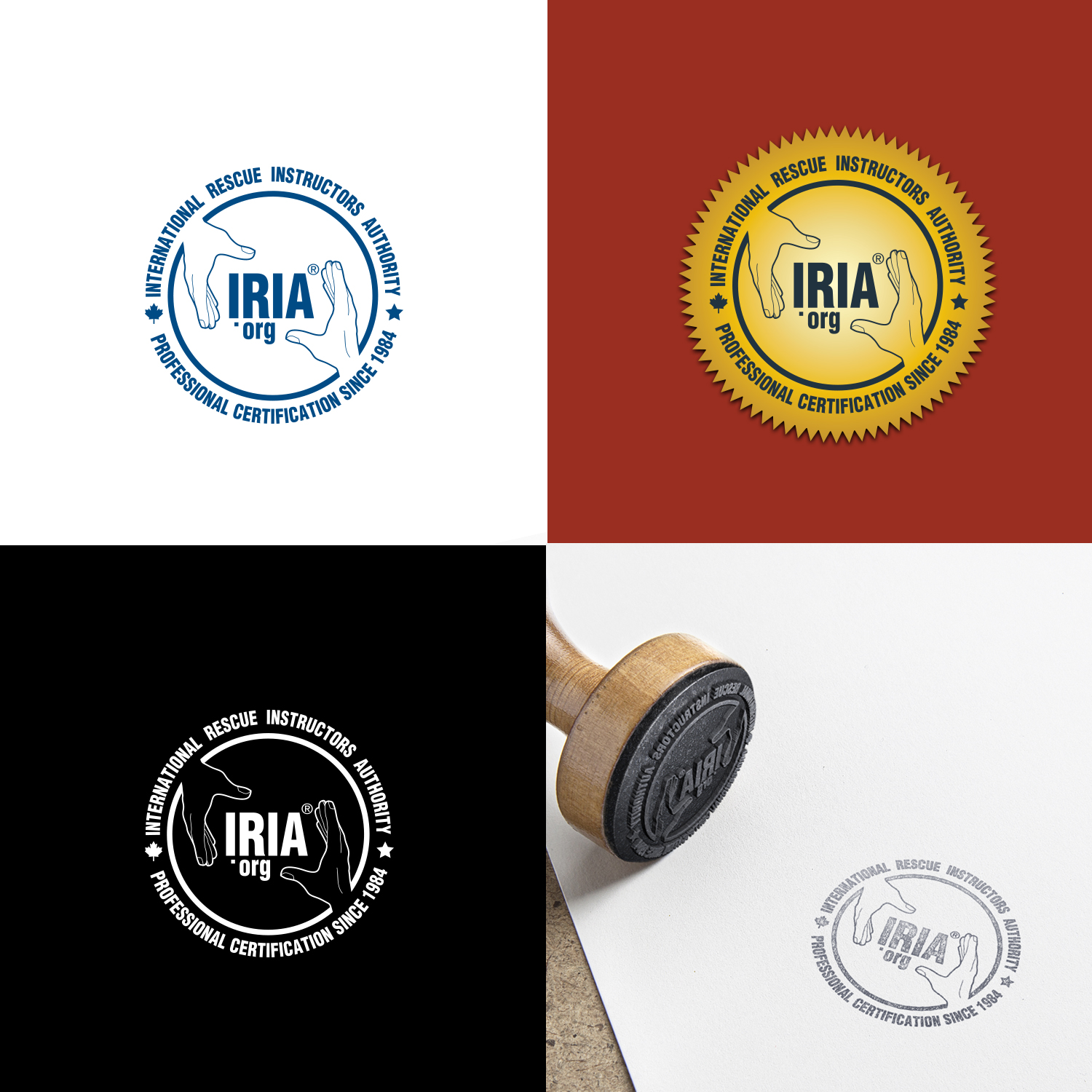 Logo Design by S. Shin for IRIA | Design #18681704