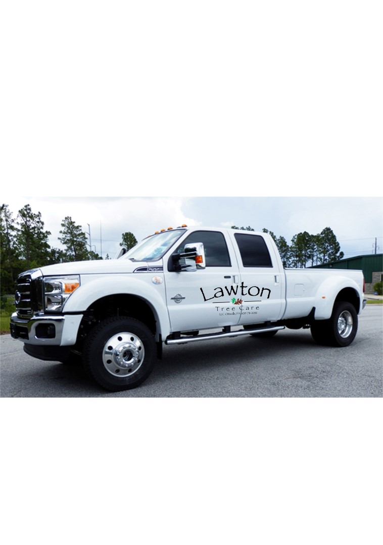 Design de Logo par alok bhopatkar pour Lawton Tree Care, LLC | Design #18603811