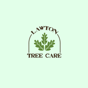 Logo Design by nouarbiti