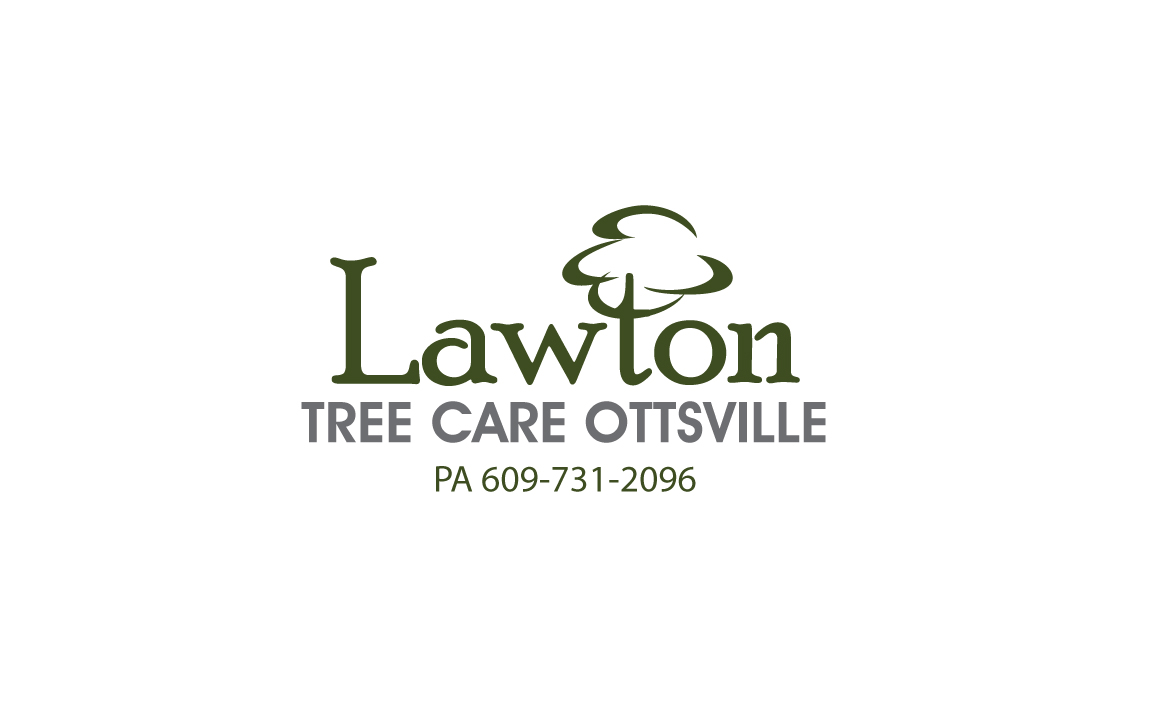 Design de Logo par GODDREAMCREATION pour Lawton Tree Care, LLC | Design #18622255
