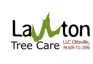 Logo Design by BWT