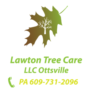 Design de Logo par felix arte grafica pour Lawton Tree Care, LLC | Design : #18612153