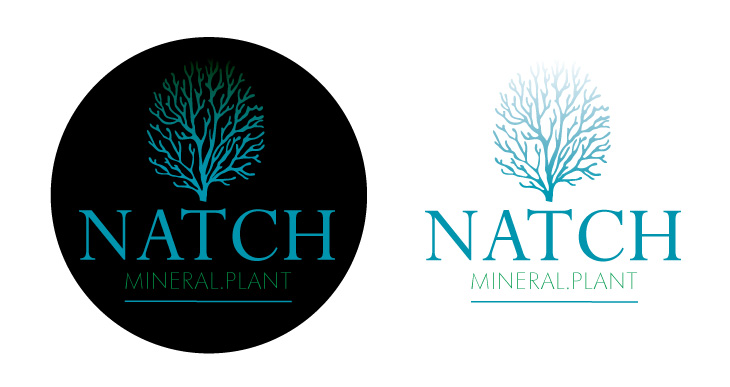 Logo Design by Buechler for this project | Design #18620321