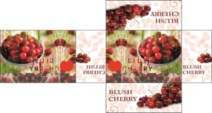Packaging Design by agrawalavinesh 2