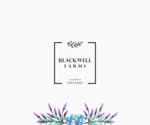 Blackwell Farms, Caledonia Ontario  | Logo Design by luiz otavio I DESIGN