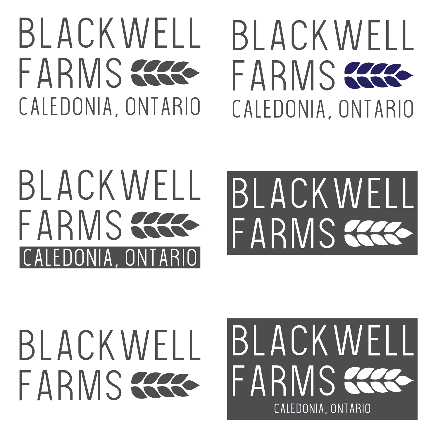 Logo Design by laliconk for this project | Design #18616229