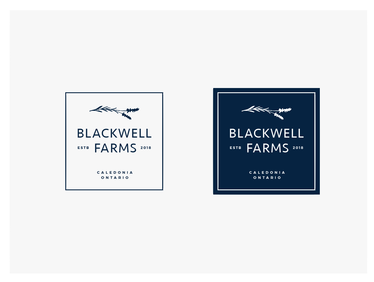 Logo Design by wonderland for this project | Design #18616032
