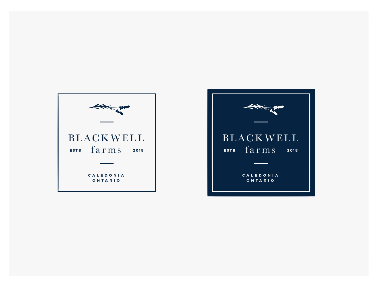 Logo Design by wonderland for this project | Design #18626516