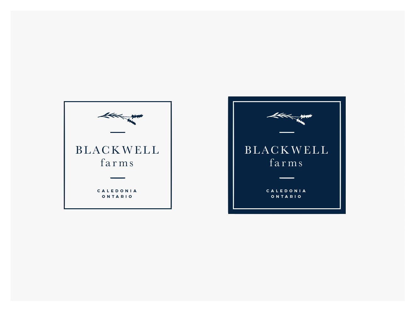 Logo Design by wonderland for this project | Design #18649406