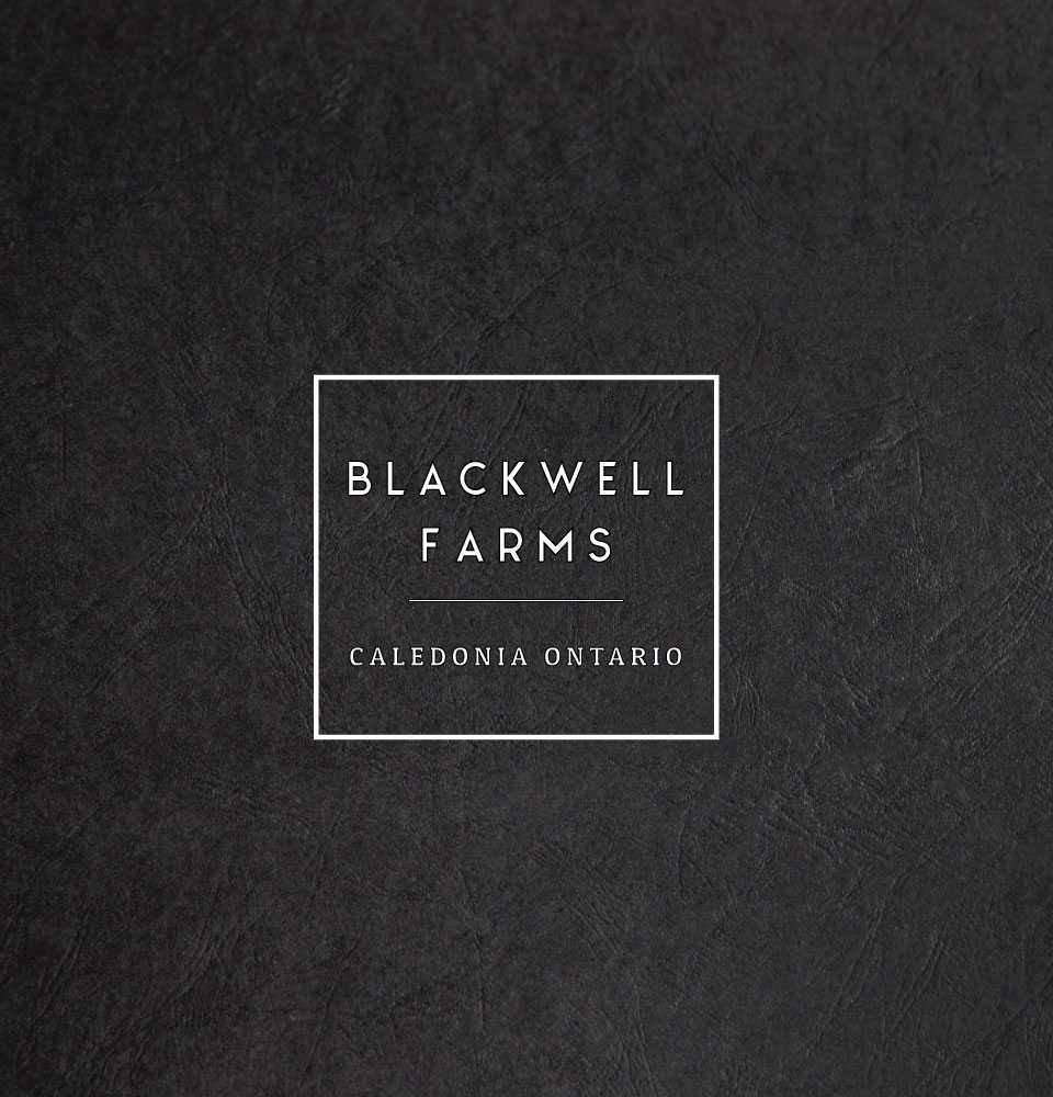 Logo Design by Sun108 for this project | Design #18635779