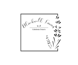 Logo Design by Ngoan 2