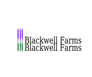 Logo Design by Caleb 4 for this project | Design #18621031