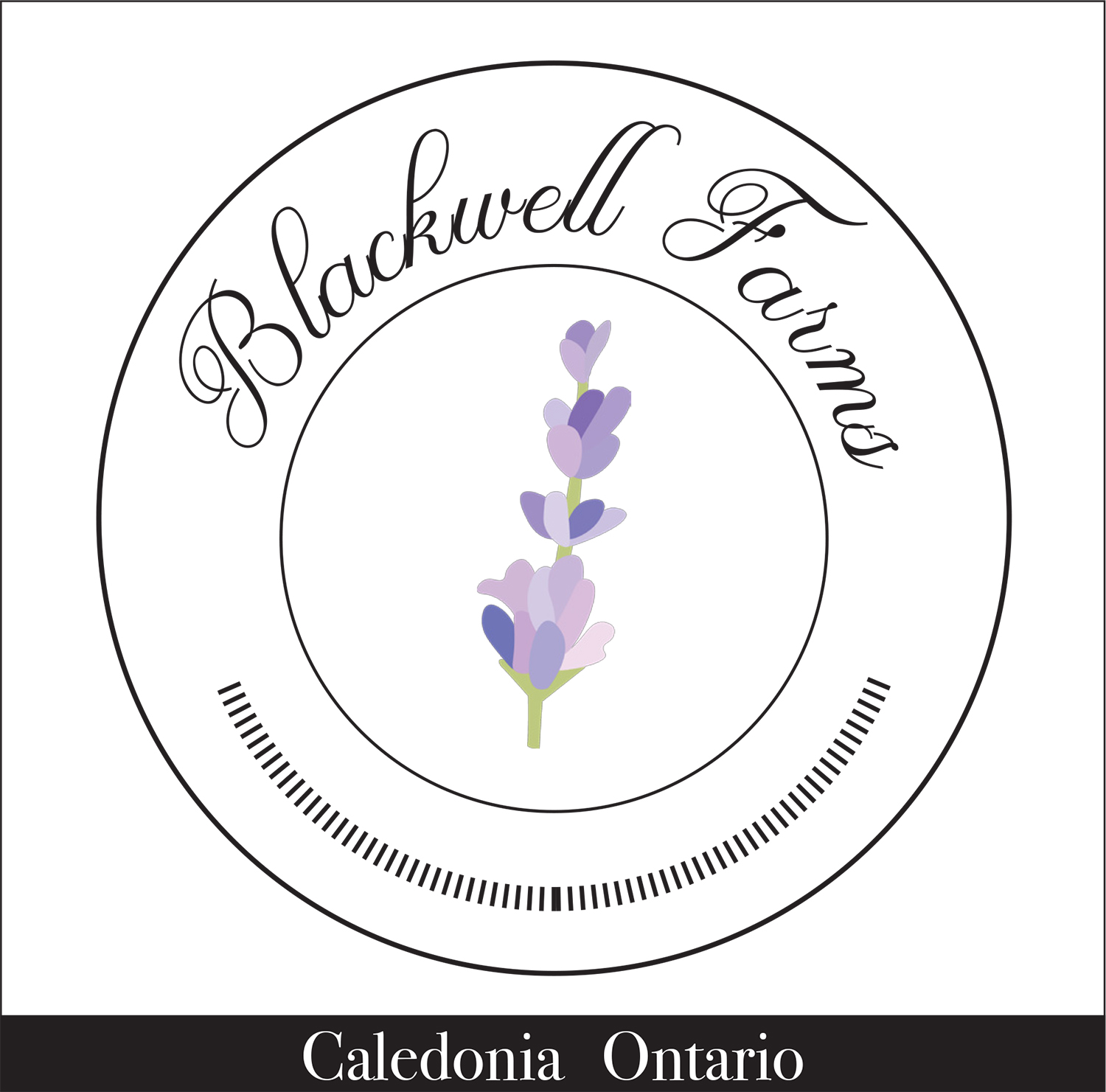 Logo Design by salty ink for this project | Design #18670901