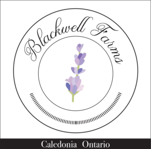 Logo Design by salty ink for this project | Design #18670901