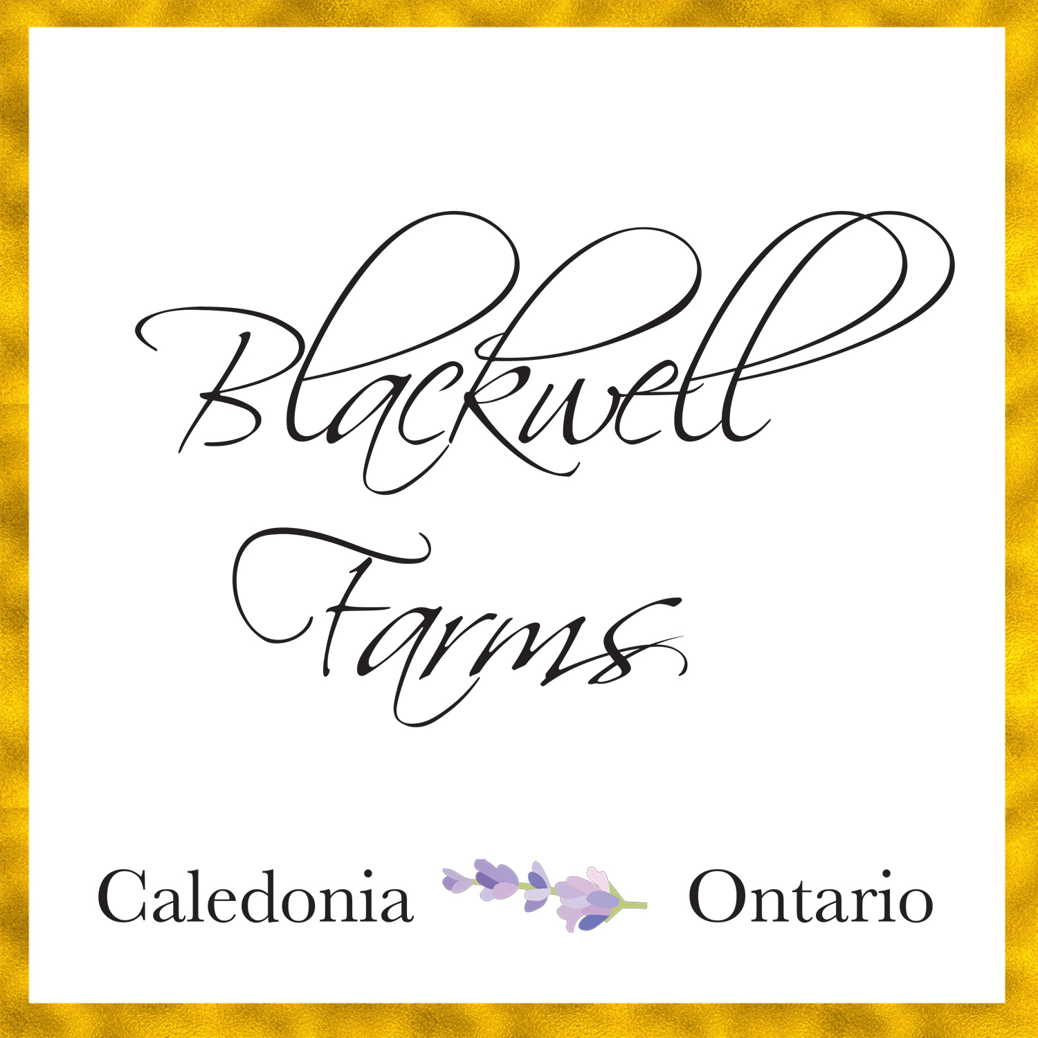 Logo Design by salty ink for this project | Design #18670982