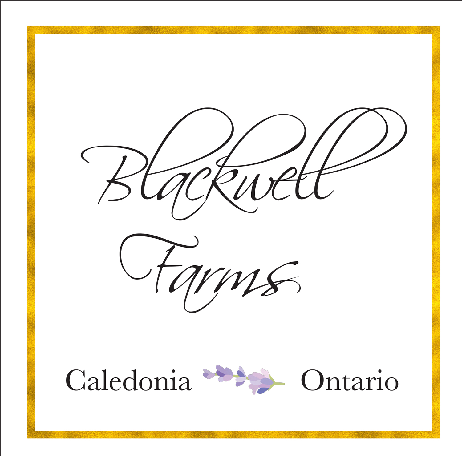 Logo Design by salty ink for this project | Design #18672204