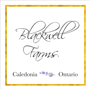 Logo Design by salty ink for this project | Design: #18672204