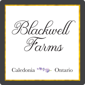 Logo Design by salty ink for this project | Design: #18672218