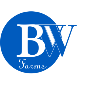 Logo Design by felix arte grafica