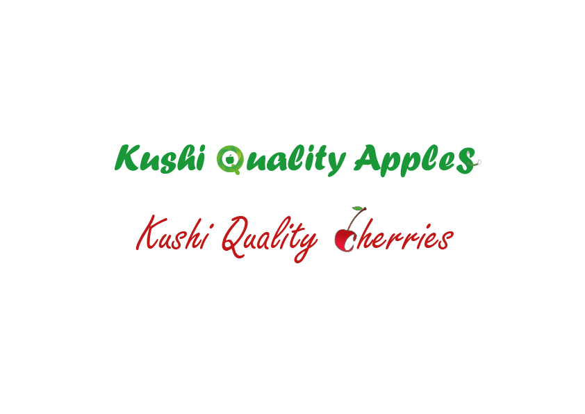 Diseño de Logo por Elnouryo para este proyecto | Diseño #18678331