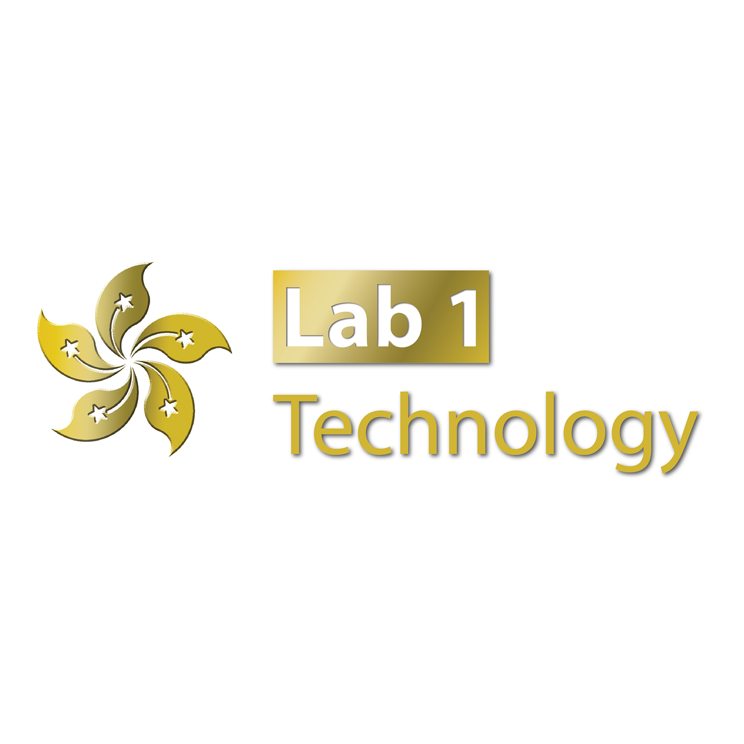 Logo Design by Peter 20 for Lab1 Tech Limited | Design #18897524