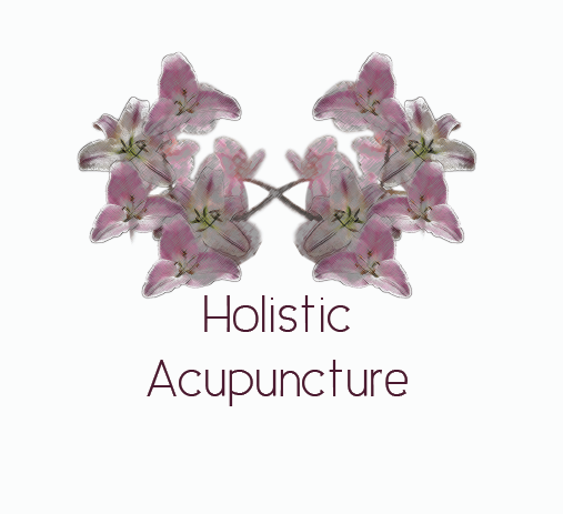 Logo Design by Nat Boe for this project | Design #2826025