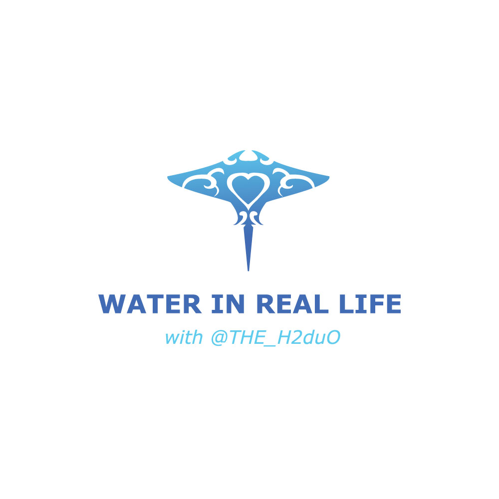 Logo Design by ackocar for Rogue Water LLC | Design #18619448