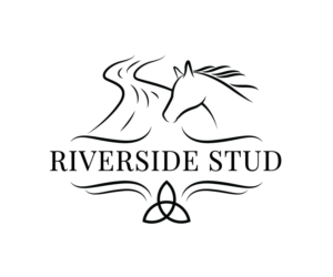 Riverside Stud | Logo Design by 91.kremena.petrova