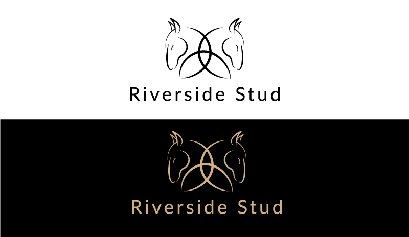 Logo Design by ilovedesign1 for ShowHorsesNZ | Design #18643174