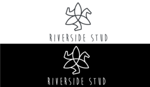 Logo Design by ilovedesign1 for ShowHorsesNZ | Design: #18643175