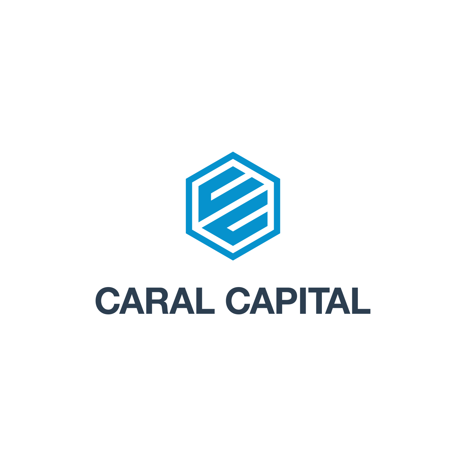 Logo Design by Optimistic_Studio for Caral Capital | Design #18670651