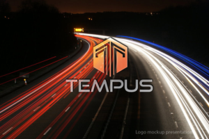 Logo Design by zebronicgraphic for Tempus Civil Consulting | Design: #18677327