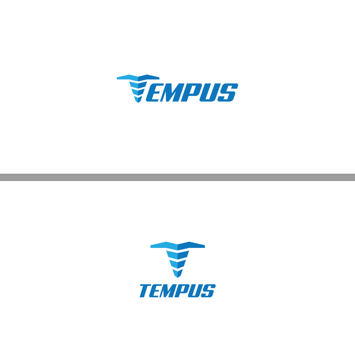 Logo Design by ktmlc4 for Tempus Civil Consulting | Design #18642293
