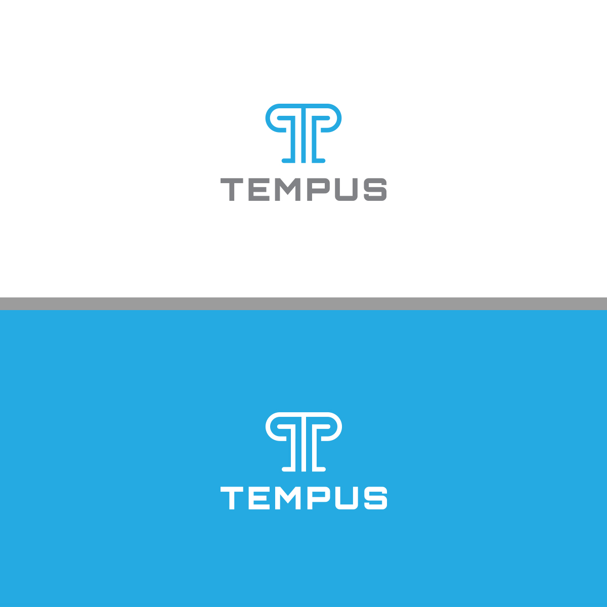 Diseño de Logo por ktmlc4 para Tempus Civil Consulting | Diseño #18644183