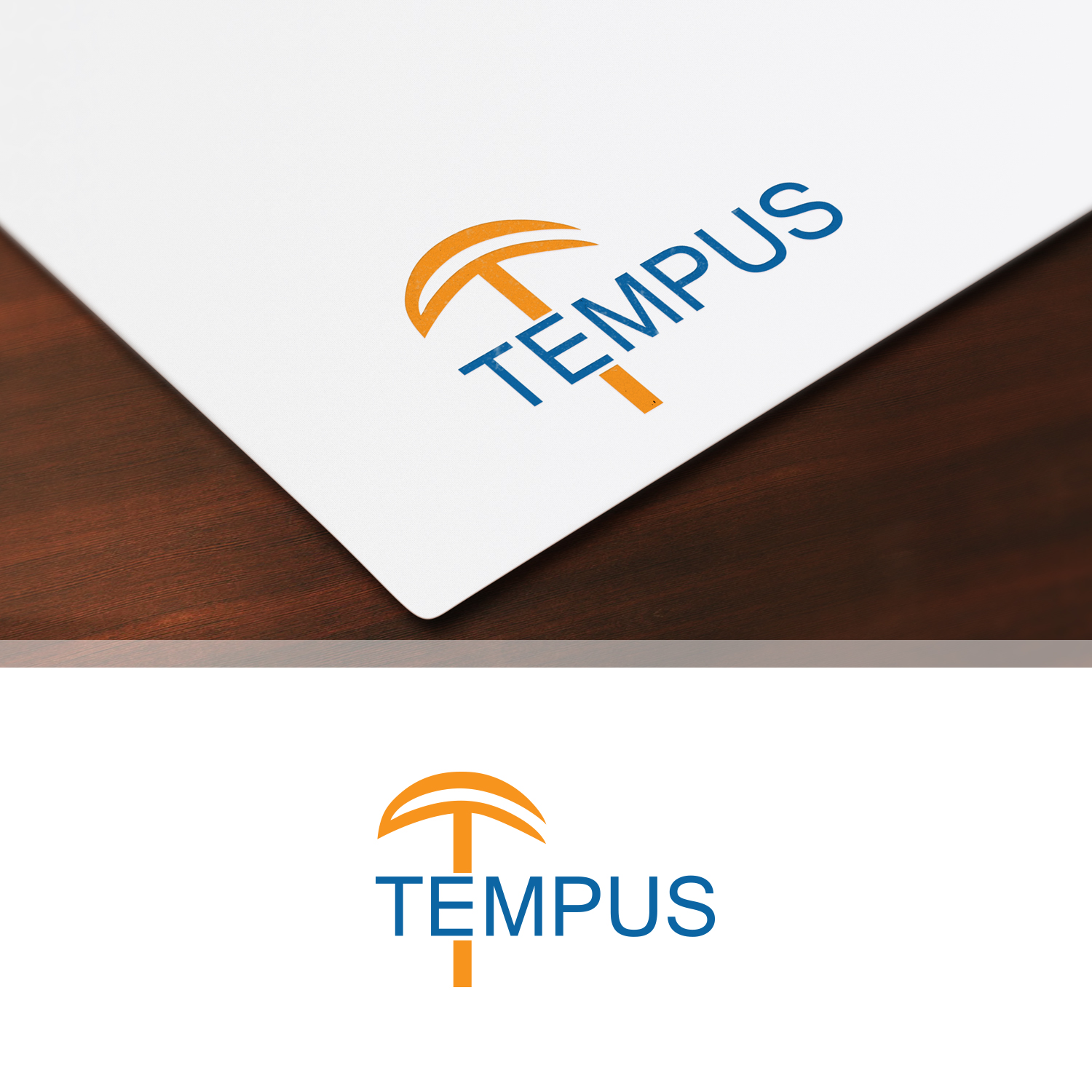 Logo Design by Maxo-Biz for Tempus Civil Consulting | Design #18651544