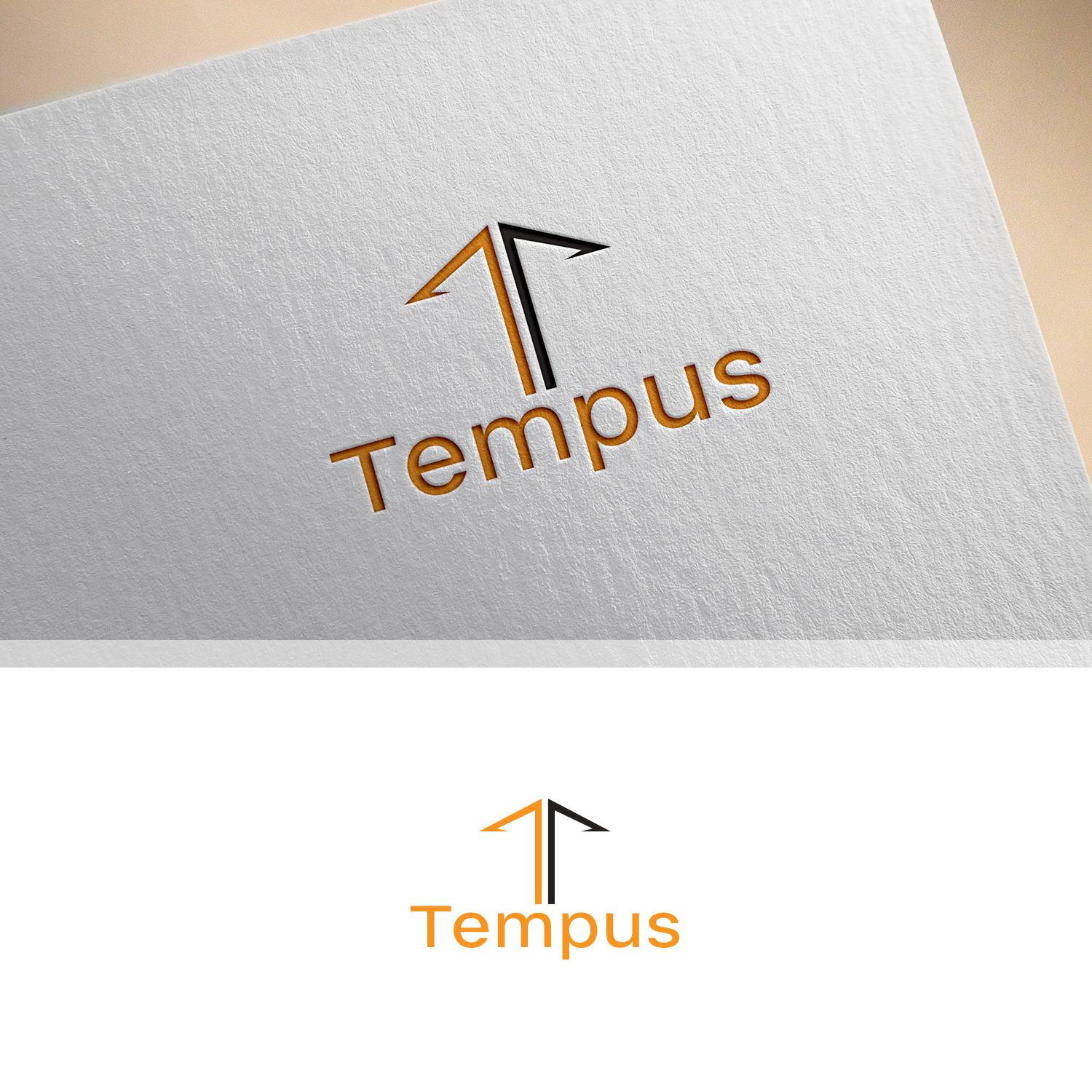 Logo Design by Maxo-Biz for Tempus Civil Consulting | Design #18651545