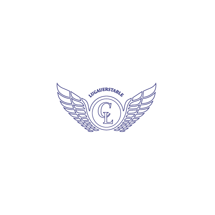 Diseño de Logo por SRJ para este proyecto | Diseño #18646130